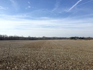 Property photo 7 - FARMLAND AUCTION - 145+/- ACRES IN 4 TRACTS FROM 3-52 ACRES IN WAYNE COUNTY
